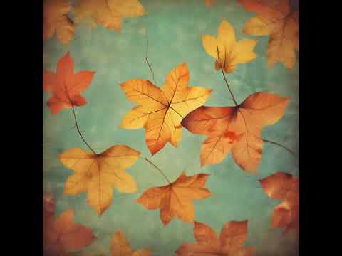 Видео: Бақытты балалық, жастық шақ өтті!Көктем, жаз да өтті, енді күз боп жетті!#әдемімузыка #хит музыка 