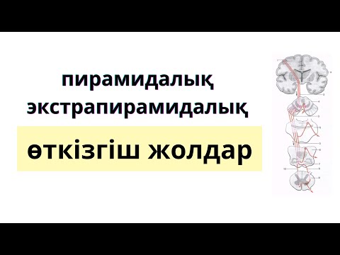 Видео: ӨТКІЗГІШ ЖОЛДАР. 2-БӨЛІМ.