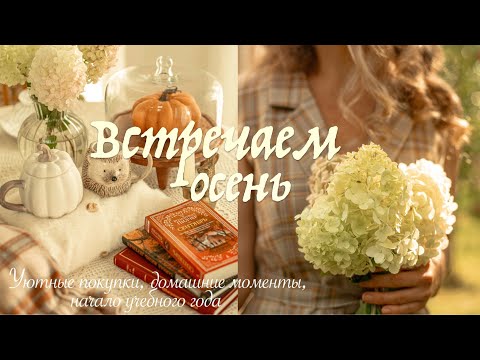 Видео: Встречаем Осень 🍂 | Уютные покупки, домашние моменты, начало учебного года  и многое другое 🏠