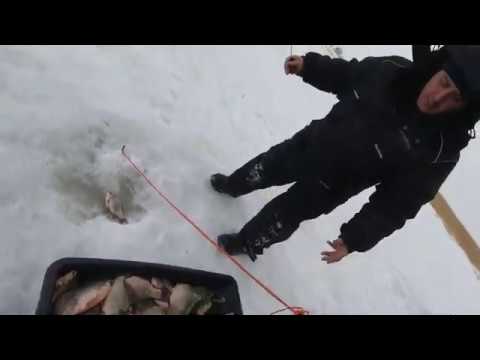 Видео: ОЗЕРО ЧАНЫ! ОТЛИЧНЫЙ УЛОВ.