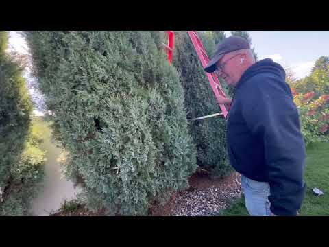 Видео: Первая стрижка … Последние теплые деньки, спешим сделать порядок …Я довольна 👍