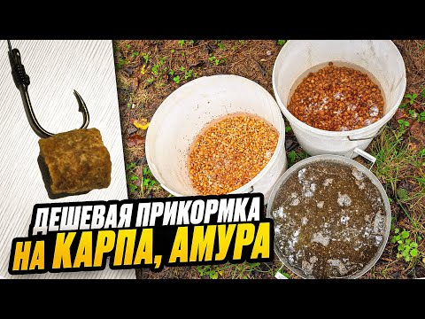 Видео: Домашняя прикормка для карпа которая РЕАЛЬНО работает? #карпфишинг #рыбалка
