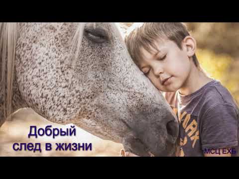 Видео: "Добрый след в жизни". П. Н. Ситковский. МСЦ ЕХБ.