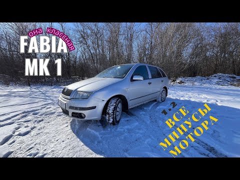 Видео: СТОИТ ПОКУПАТЬ SKODA FABIA MK1 КАК ПЕРВУЮ МАШИНУ ИЛИ ЛУЧШЕ КУПИТЬ ЗА ТЕ ЖЕ ДЕНЬГИ ЛАНОС…