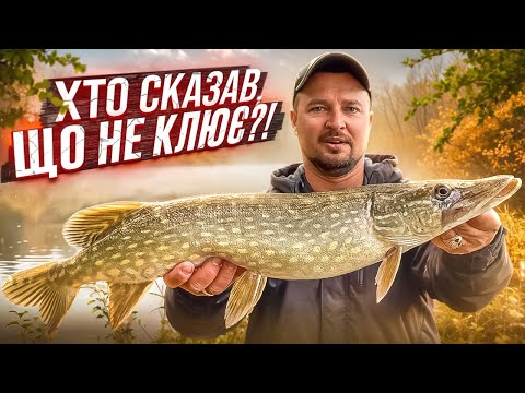Видео: Хто Сказав, Що На Десні Не Клює?!