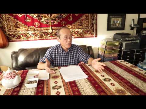 Видео: Тюркизмы в русском языке в интерпретации Нурлана Кильдибекова