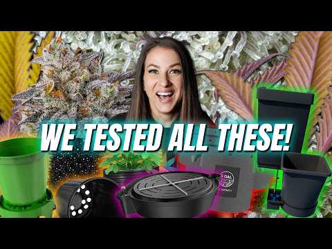 Видео: ИДЕАЛЬНАЯ система полива? 4 года тестирования. Это наша любимая!