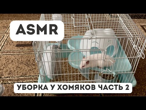 Видео: ASMR Cleaning | Убираюсь у хомяков и крыс 🐹🐭 | Реальные звуки | часть 2