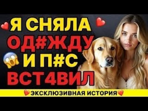 Видео: Как я изменила мужу с собакой   не могу точно объяснить что произошло