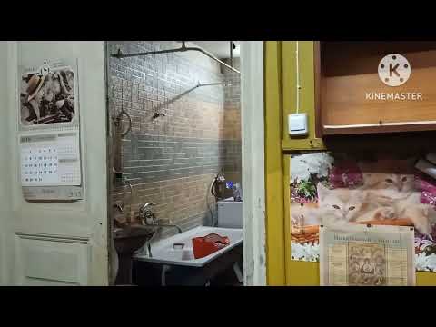 Видео: Купили дом 🏠