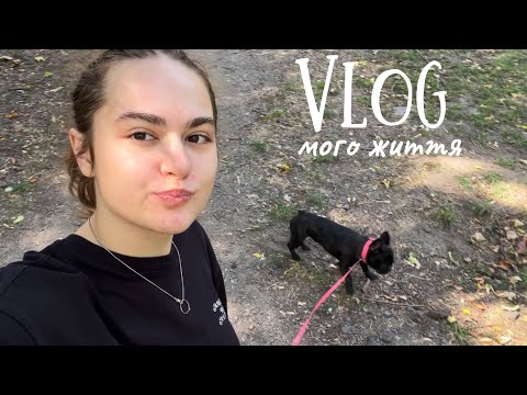 Видео: VLOG / кухонні будні / рецепт тірамісу / знайшли кішечку 