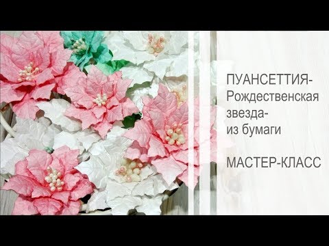 Видео: Пуансеттия из бумаги DIY | Цветы из акварельной бумаги | Flower of paper DIY