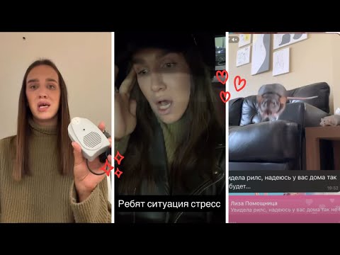Видео: Жидковский сторис. Крыса на балконе
