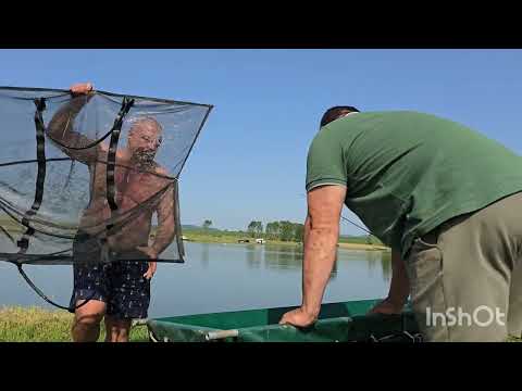 Видео: Madiks carp team Яз.Съединение приятелско състезание 5-8 06 2025