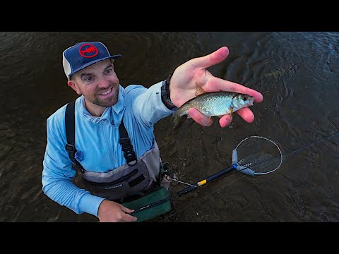 Видео: Эта река была полна рыбы! Протестировано Mifine NanoJig Travel.