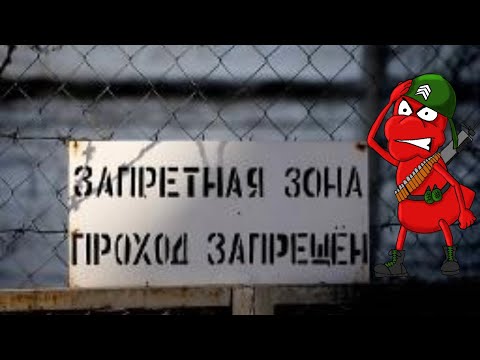 Видео: The Ants. Что делать со звездами?