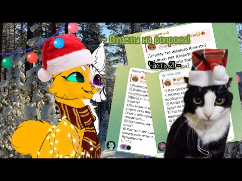 Видео: Ответы на вопросы часть 2 | #котывоители