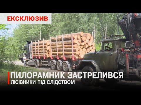 Видео: Масштабні вирубки лісу: що приховують на Камінь-Каширщині?