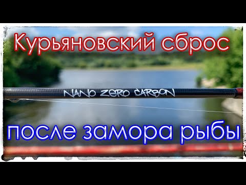Видео: Курьяновский сброс после замора рыбы. Nano Zero Carbon