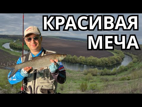 Видео: КРАСИВАЯ МЕЧА! РЫБАЛКА НА СПИННИНГ! ОТКРЫТИЕ СЕЗОНА!