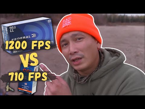 Видео: Насколько тише CCI Quiet .22LR? И разница в точке попадания?