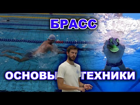 Видео: Техника плавания БРАССОМ для НОВИЧКОВ