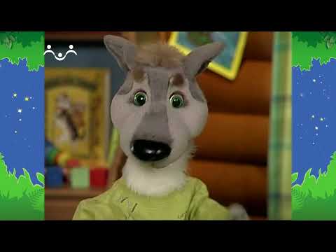 Видео: Вечер в Шишкином Лесу. Быт. Урок для Шуни