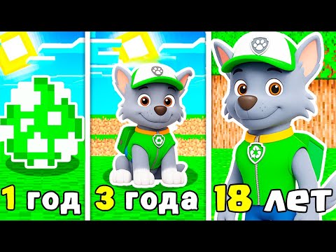Видео: КАК МЕНЯЛСЯ РОККИ ЩЕНЯЧИЙ ПАТРУЛЬ В МАЙНКРАФТ