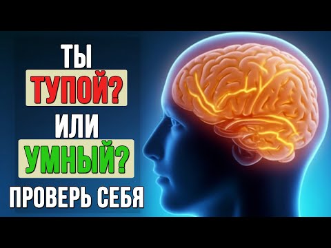 Видео: #Тест Насколько Ты Умный? Проверь Себя!