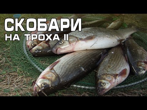 Видео: Струмски скобари на троха - част 2