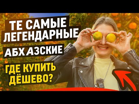 Видео: Те самые легендарные Абхазкие мандарины - где купить дешево и нарвать прямо с дерева