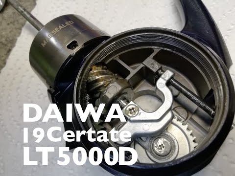 Видео: ВСКРЫТИЕ КАТУШКИ DAIWA 19 CERTATE LT5000D . Металл как будто грызли ....