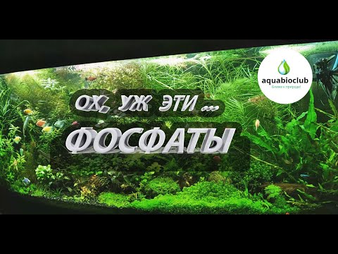 Видео: Фосфаты в аквариуме. Норма, польза и вред.