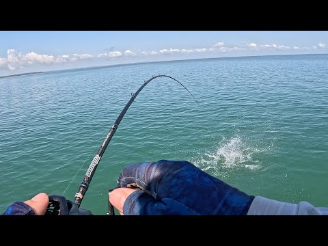 Видео: Рыбалка на рифах и отмелях! — В заливе Мортон так много разнообразия!