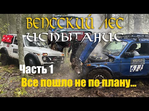 Видео: Вепсский лес 2025. Сломали все машины, выбираемся пешком