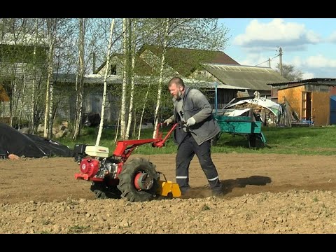 Видео: Работа с фрезой производство Сморгонь. Фреза почвенная ФР-0001 МТЗ Weima WM188F 13л/с