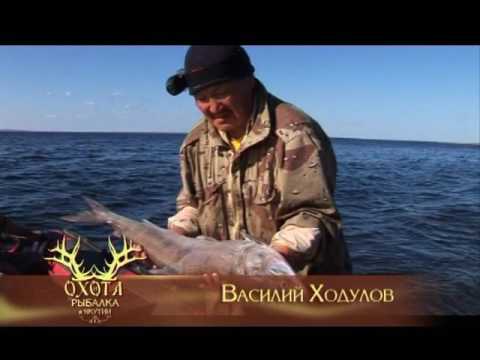 Видео: Рыбалка на море Лаптевых. Выпуск 115. Эфир от  30.10.12.