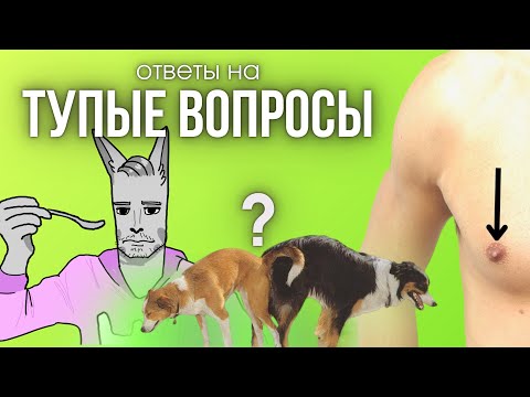 Видео: ТЫ ДАВНО ХОТЕЛ ЭТО ЗНАТЬ