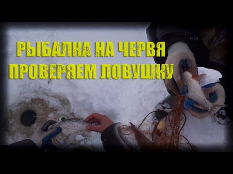 Видео: рыбалка на червя проверка сети