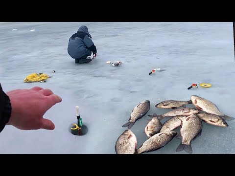 Видео: ТУТ КАРАСИ УТАСКИВАЮТ УДОЧКИ не успеешь МОРГНУТЬ! Ловим КАРАСЯ по ПОСЛЕДНЕМУ ЛЬДУ!