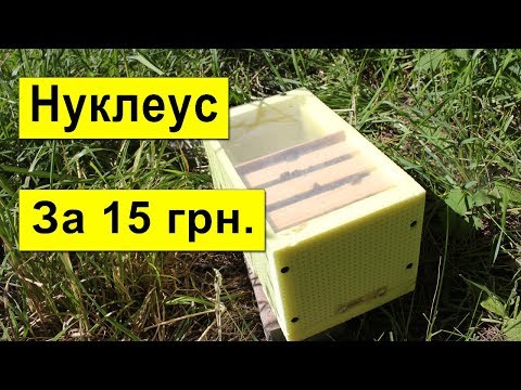 Видео: Как Сделать Нуклеус за 15 грн? Размеры микронуклеуса, Нуклеус для облёта маток работает отлично