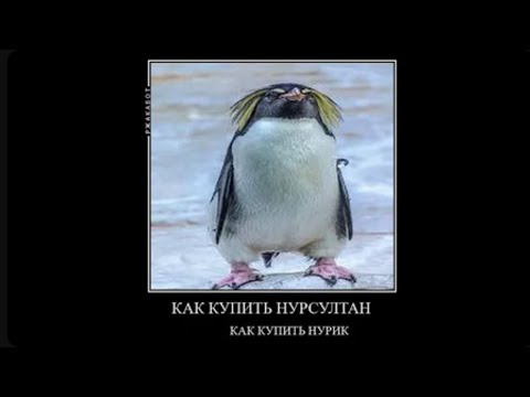 Видео: ПРОПЕНИЛ ВЕСЬ ФАНТАЙМ С ЛУЧШИМ ФРИ СОФТОМ Night DLC | FunnyTime, ReallyWorld