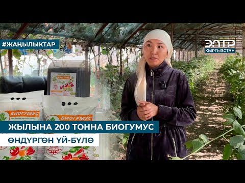 Видео: ЖЫЛЫНА 200 ТОННА БИОГУМУС ӨНДҮРГӨН ҮЙ-БҮЛӨ
