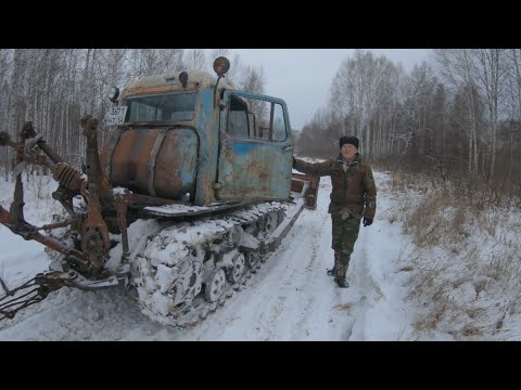 Видео: ДТ-75 сила, особенно в умелых руках! Вывоз дров из лесу на гусеничном тракторе...