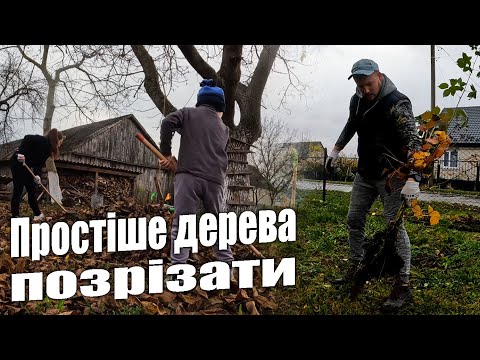 Видео: Генеральне прибирання у саду перед зимою || Пересаджуємо ожину на нове місце