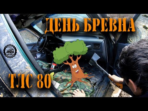 Видео: КРЫЛО А.....ДЕГОЯ день БРЕВНА  3 ЯНВАРЯ 2024