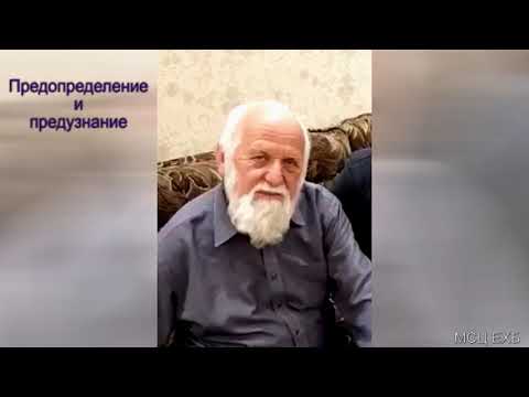 Видео: "Предопределение и предузнание". Е. Н. Пушков. МСЦ ЕХБ,