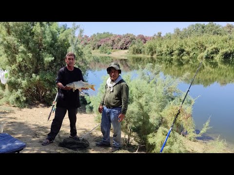 Видео: Рыбалка #отдих #4k #fishing #nature #carp #природа 