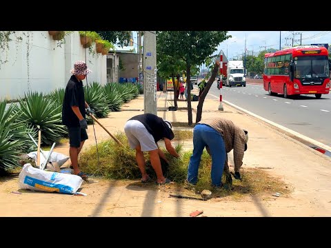 Видео: Работа при 40°C всего за 15 долларов: они всё равно продолжают работать