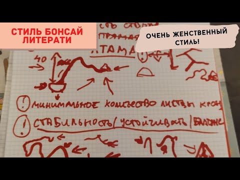 Видео: Стили бонсай. Как вырастить бонсай в стиле Литерати(Literati) или Бунджин(Bunjin).